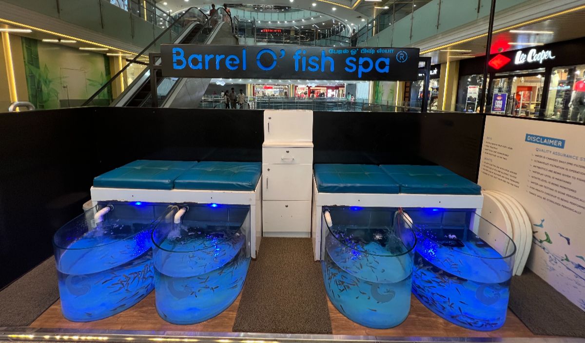 Barrel O Fish spa